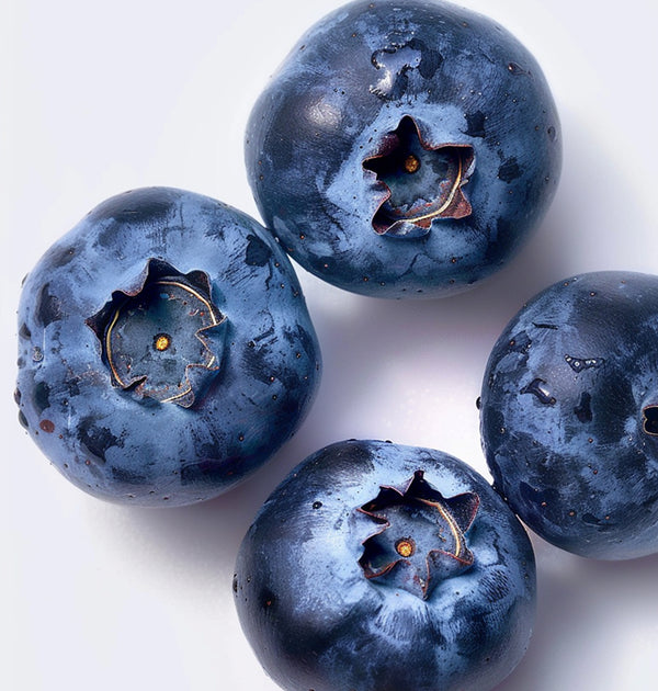 Resveratrol