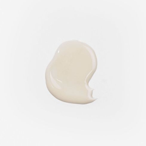 Lotus Primer